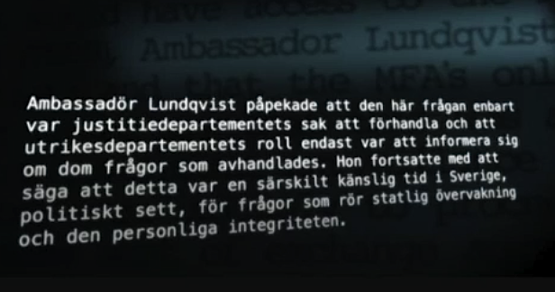 ambssador lundqvist - www.viddler.com screen capture 2012-12-28-20-58-3