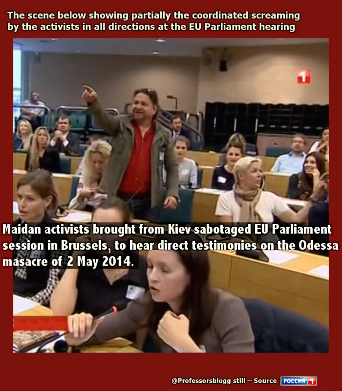 maidan-activists-from-fiev-sabotage-eu-parliament-hearing-on-odessa-massacre